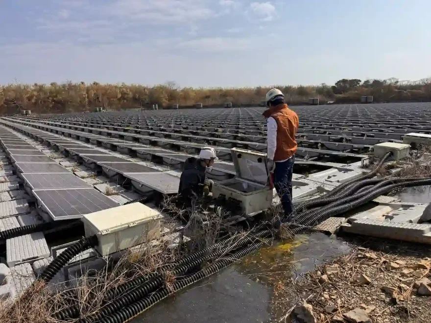 雑草対策が施された太陽光発電所のソーラーパネル一覧
